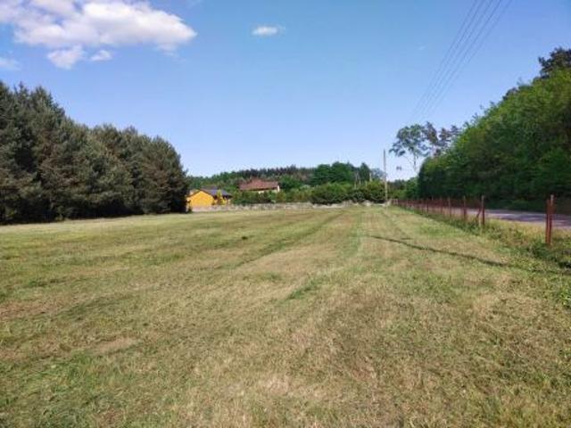 Grunt na sprzedaż w Dobryszyce, Łódzkie