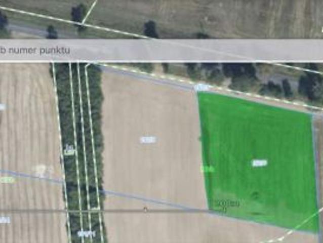 Grunt na sprzedaż w Dolaszewo, Wielkopolskie