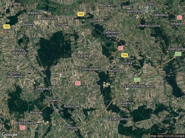 Grunt na sprzedaż w Domaniewice, Łódzkie