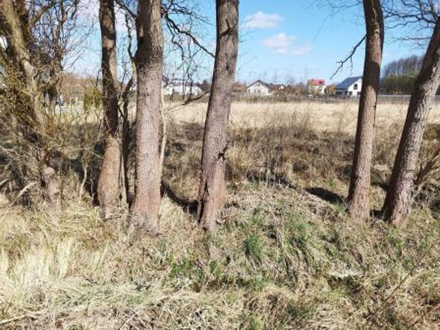 Grunt na sprzedaż w Drezdenko, Lubuskie