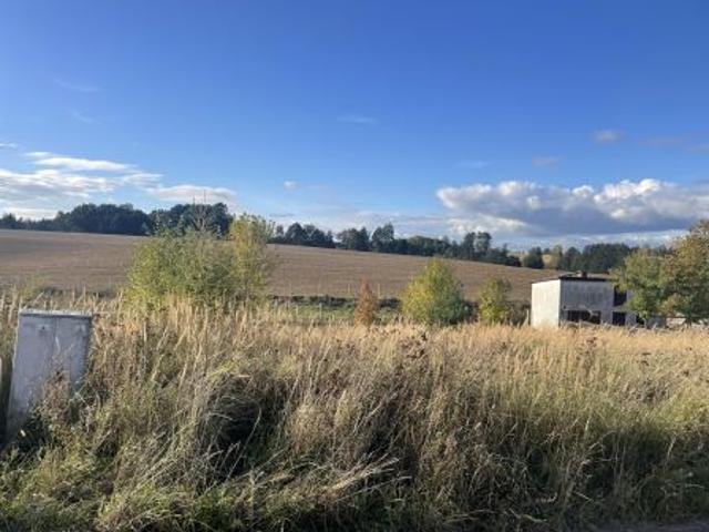 Grunt na sprzedaż w Drzycim, Kujawsko-pomorskie