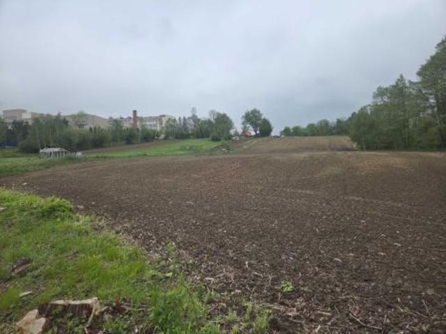 Grunt na sprzedaż w Dynów, Podkarpackie