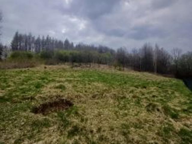 Grunt na sprzedaż w Dynów, Podkarpackie