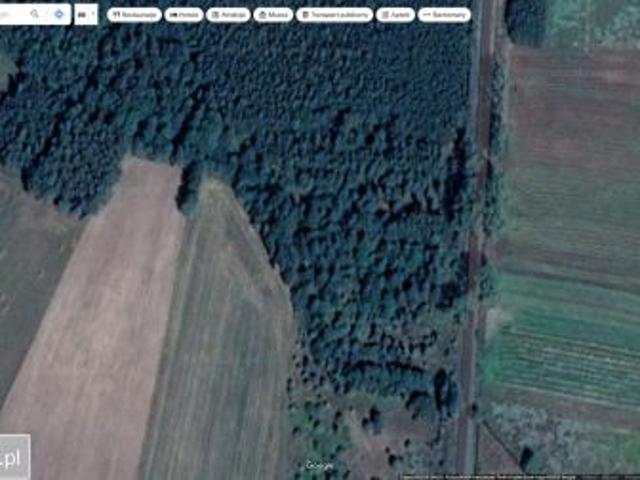 Grunt na sprzedaż w Firlej, Lubelskie