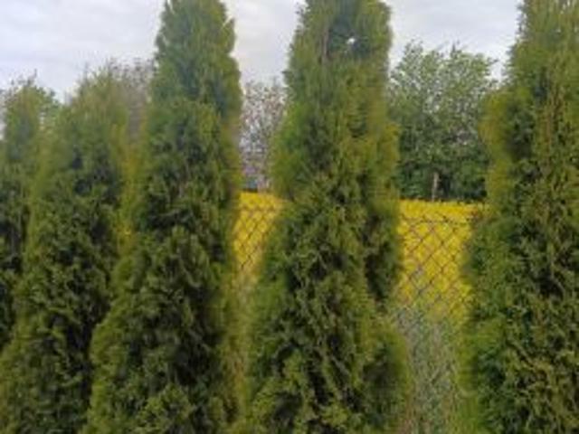 Grunt na sprzedaż w Garbów, Lubelskie
