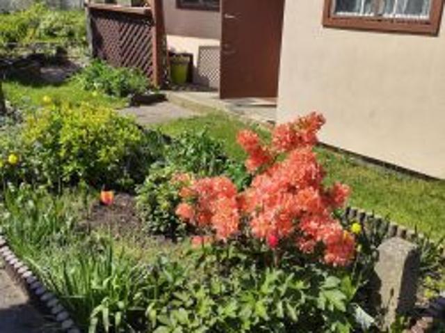 Grunt na sprzedaż w Gdynia, Pomorskie