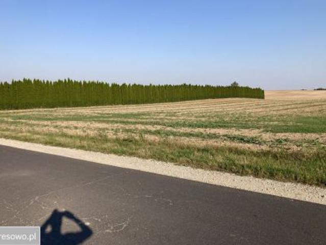 Grunt na sprzedaż w Góra, Wielkopolskie