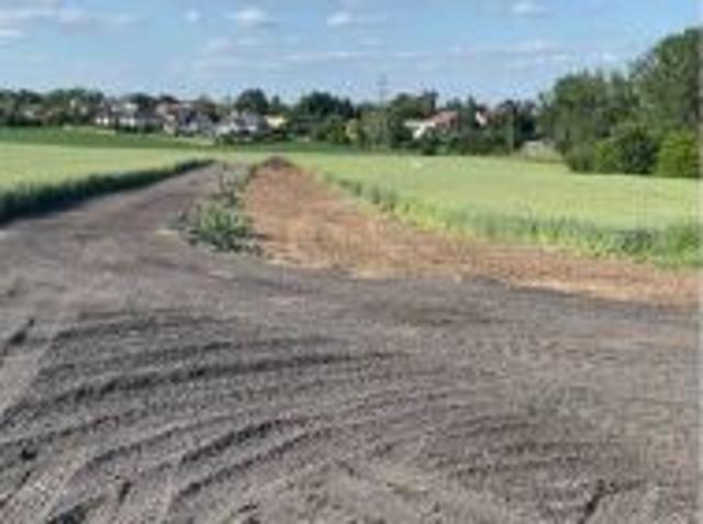 Grunt na sprzedaż w Górki, Opolskie