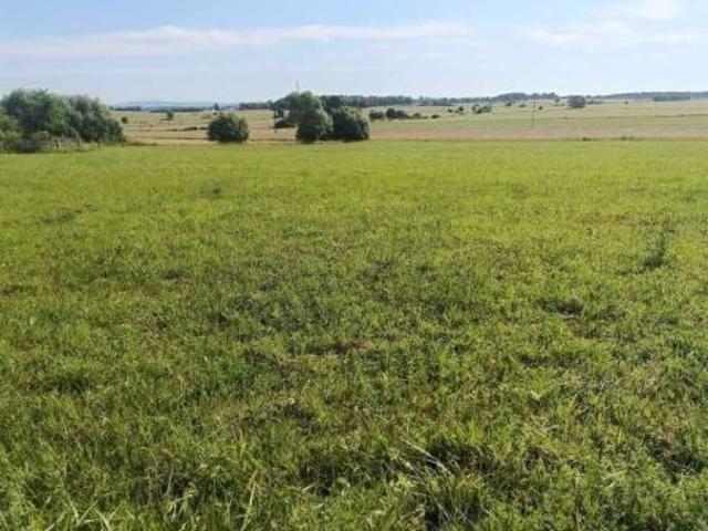 Grunt na sprzedaż w Górki, Świętokrzyskie