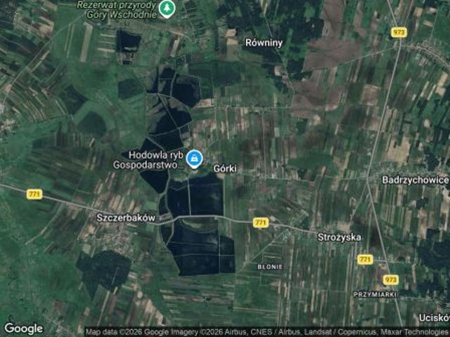 Grunt na sprzedaż w Górki, Świętokrzyskie