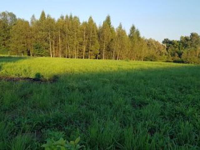Grunt na sprzedaż w Gorlice, Małopolskie