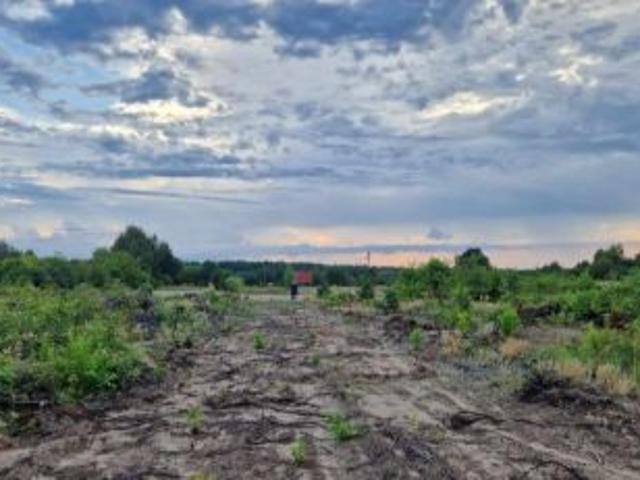 Grunt na sprzedaż w Gostynin, Mazowieckie