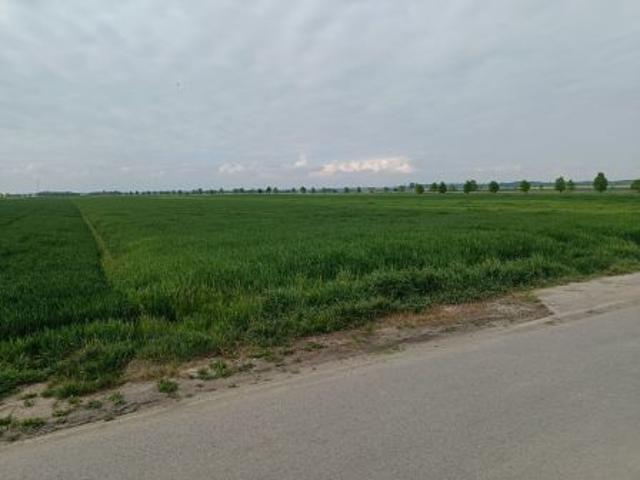 Grunt na sprzedaż w Grodków, Opolskie