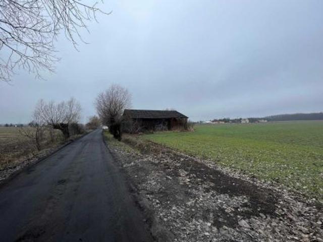 Grunt na sprzedaż w Grodzisk Wielkopolski, Wielkopolskie