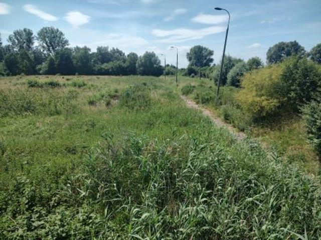Grunt na sprzedaż w Gronowo Górne, Warmińsko-mazurskie