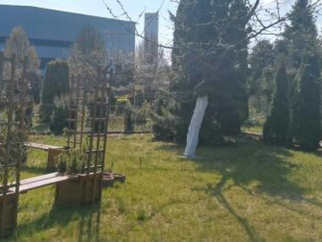 Grunt na sprzedaż w Grudziądz, Kujawsko-pomorskie