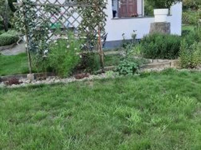 Grunt na sprzedaż w Gubin, Lubuskie