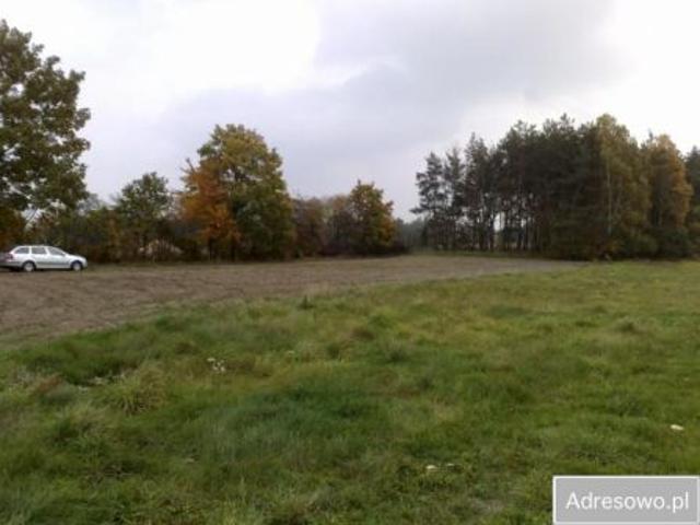 Grunt na sprzedaż w Gutowo, Kujawsko-pomorskie