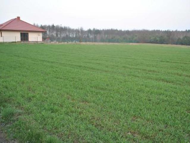 Grunt na sprzedaż w Gutowo, Kujawsko-pomorskie