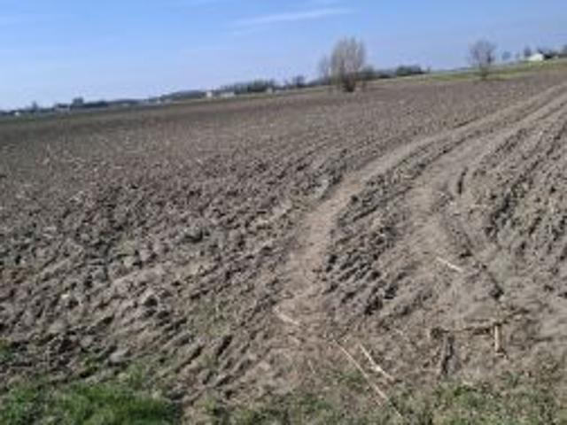 Grunt na sprzedaż w Gzy, Mazowieckie