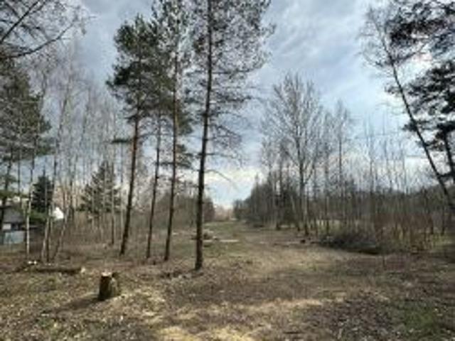 Grunt na sprzedaż w Huta Dłutowska, Łódzkie