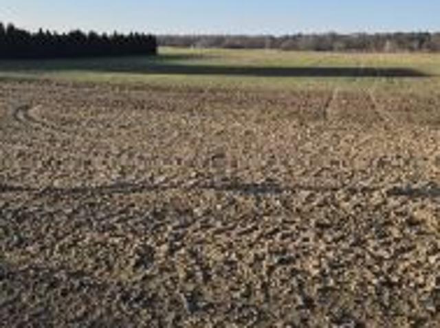 Grunt na sprzedaż w Jabłonna, Lubelskie