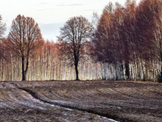 Grunt na sprzedaż w Jaktorów, Mazowieckie