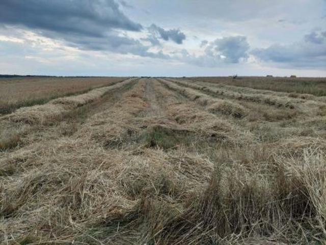 Grunt na sprzedaż w Jakubów, Mazowieckie