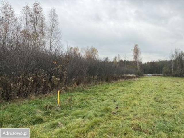 Grunt na sprzedaż w Jasień, Małopolskie