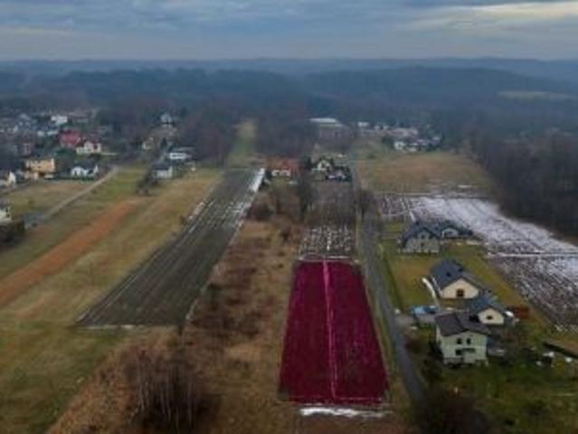 Grunt na sprzedaż w Jastrzębie-zdrój, Śląskie