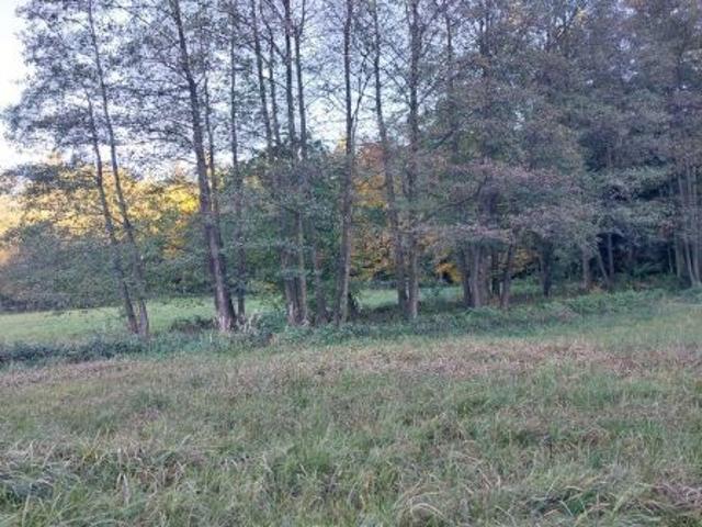 Grunt na sprzedaż w Jaworze, Śląskie