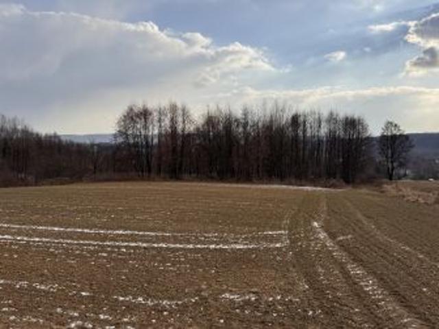 Grunt na sprzedaż w Jedlicze, Podkarpackie