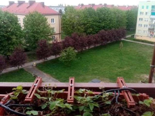 Mieszkanie na sprzedaż w Jelcz-laskowice, Dolnośląskie