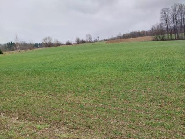 Grunt na sprzedaż w Jodłownik, Małopolskie