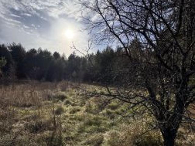 Grunt na sprzedaż w Józefów, Lubelskie
