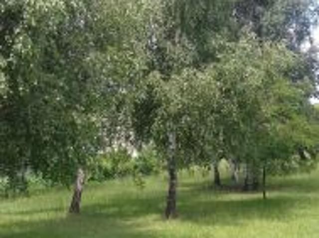 Grunt na sprzedaż w Kłobuck, Śląskie