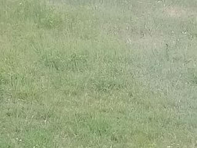 Grunt na sprzedaż w Kąty Wrocławskie, Dolnośląskie