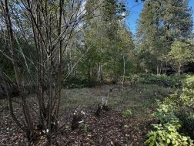 Grunt na sprzedaż w Kalonka, Łódzkie