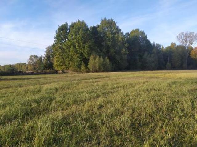 Grunt na sprzedaż w Kamionka, Lubelskie