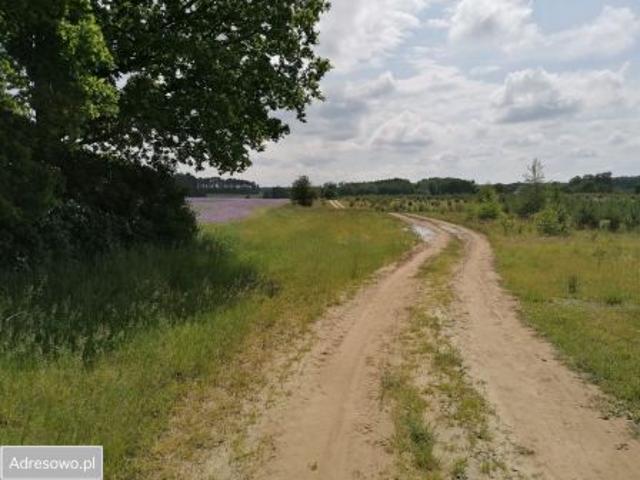 Grunt na sprzedaż w Karczewko, Wielkopolskie