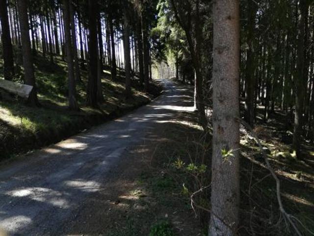 Grunt na sprzedaż w Karpacz, Dolnośląskie
