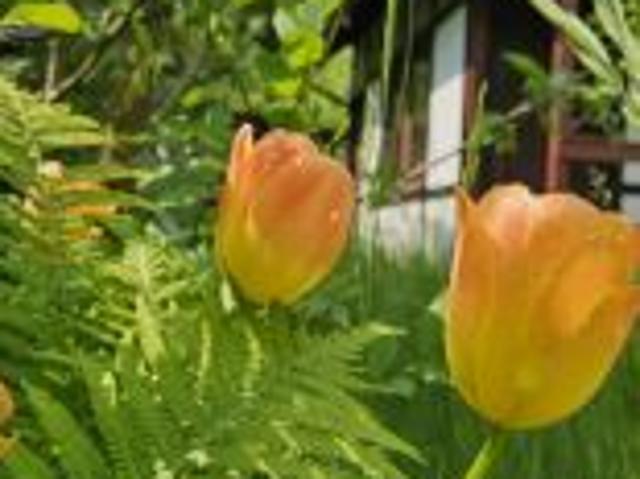 Grunt na sprzedaż w Kartuzy, Pomorskie