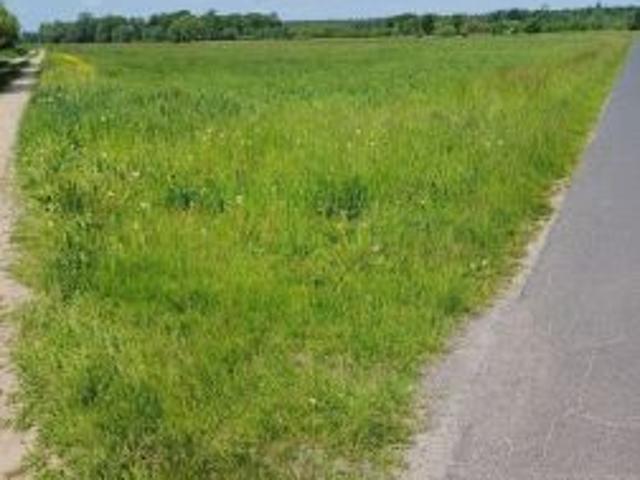 Grunt na sprzedaż w Karzec, Wielkopolskie