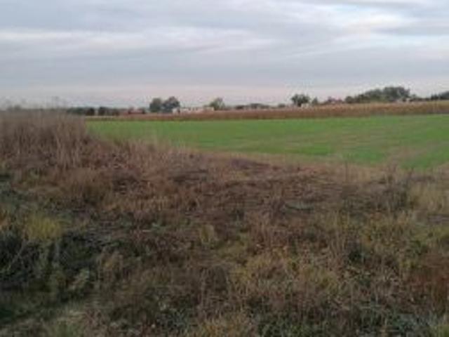 Grunt na sprzedaż w Kcynia, Kujawsko-pomorskie