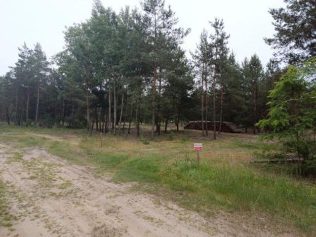 Grunt na sprzedaż w Klempicz, Wielkopolskie