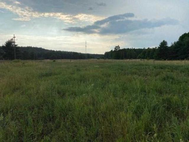 Grunt na sprzedaż w Klempicz, Wielkopolskie
