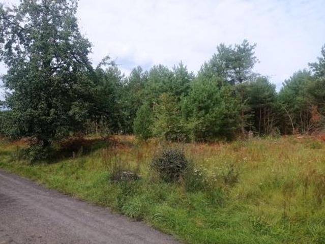 Grunt na sprzedaż w Klempicz, Wielkopolskie