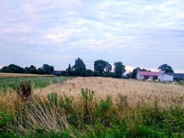 Grunt na sprzedaż w Klimontów, Świętokrzyskie