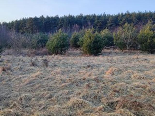 Grunt na sprzedaż w Kliny, Wielkopolskie