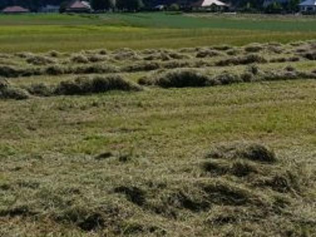 Grunt na sprzedaż w Kobyla Góra, Wielkopolskie